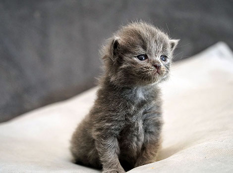 Therion am 19.06.2025